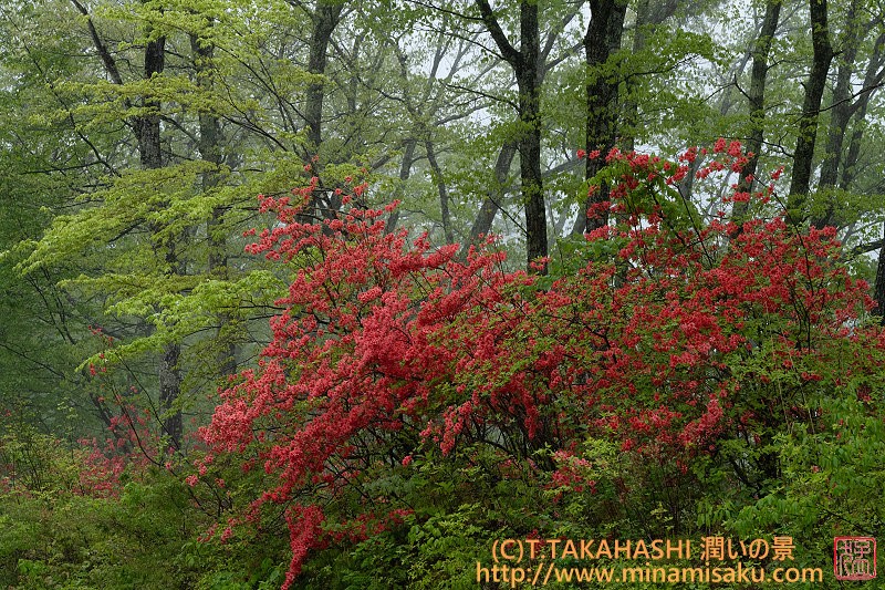 ../Images/7R250517 (79).jpg